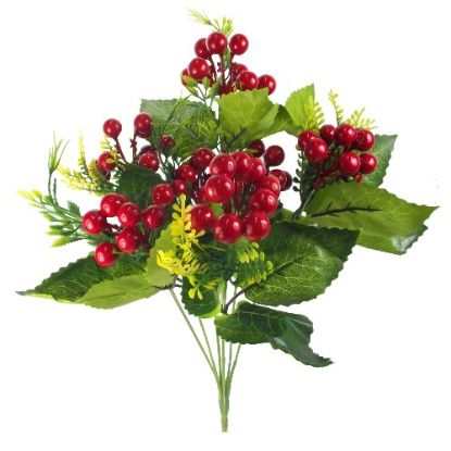 Picture of BERRY BUSH RED