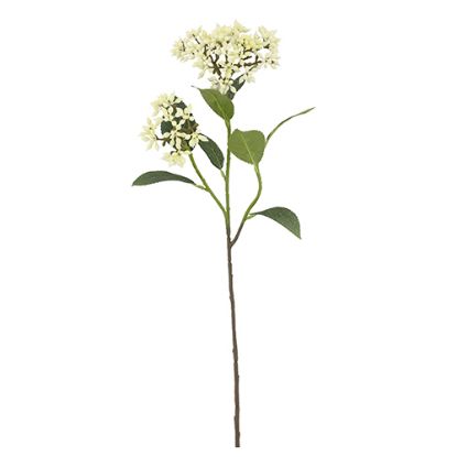 Picture of 55cm JAPANESE BERRY SPRAY IVORY