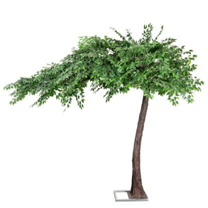 Picture of 320cm DELUXE ARTIFICIAL CANOPY STYLE FICUS LEAF TREE GREEN