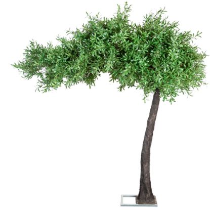 Picture of 320cm DELUXE ARTIFICIAL CANOPY STYLE OLIVE LEAF TREE GREEN