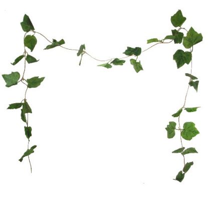 Picture of 8ft GRAPE LEAF GARLAND GREEN X BAG OF 5pcs