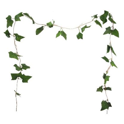 Picture of 8ft IVY LEAF GARLAND GREEN X BAG OF 5pcs