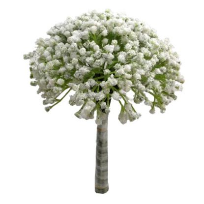 Picture of 28cm WRAPPED GYPSOPHILA BUNDLE (10 STEMS) IVORY