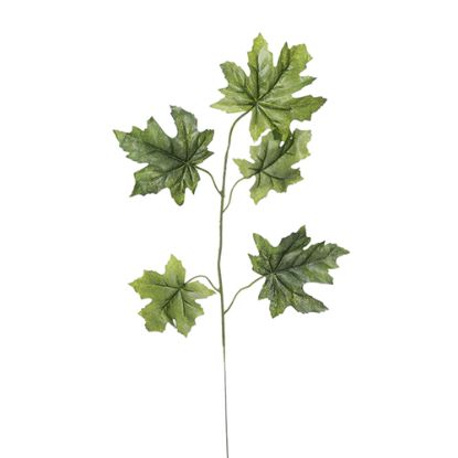 Picture of 66cm MAPLE LEAF SPRAY (5 LEAVES) GREEN X 6pcs