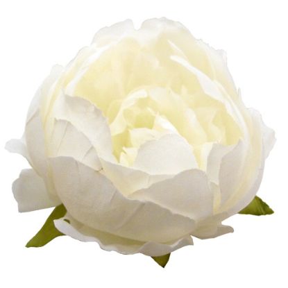 Picture of 9-10cm LARGE PEONY FLOWER HEAD IVORY X 50pcs