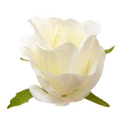 Picture of 5-6cm ROSE FLOWER HEAD IVORY X 50pcs
