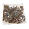 Picture of 12cm PLASTIC SNOWY CONE PICK BROWN/WHITE X BAG OF 72pcs