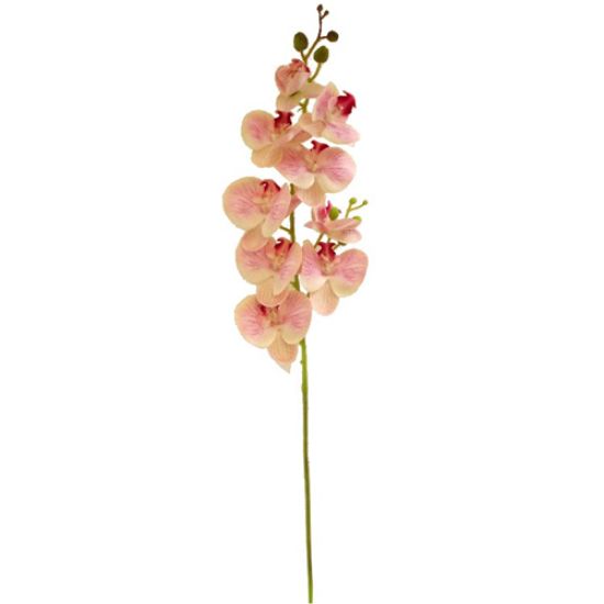 Picture of 100cm LUXURY PHALAENOPSIS ORCHID SPRAY PINK/CREAM