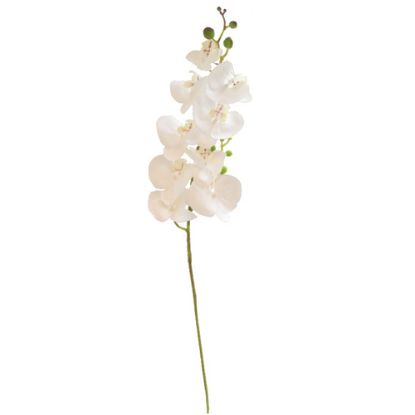 Picture of 100cm LUXURY PHALAENOPSIS ORCHID SPRAY IVORY