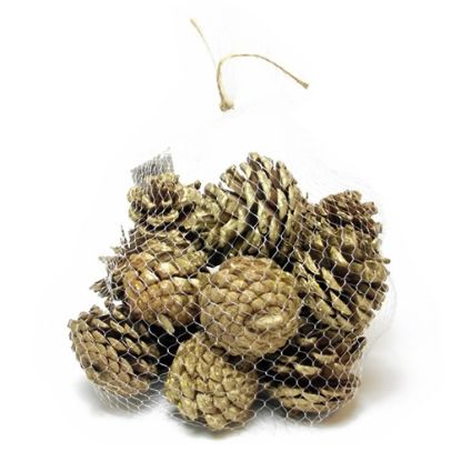 Picture of 4-6cm PINE CONES IN NET BAG NATURAL/GOLD GLITTER X 250g