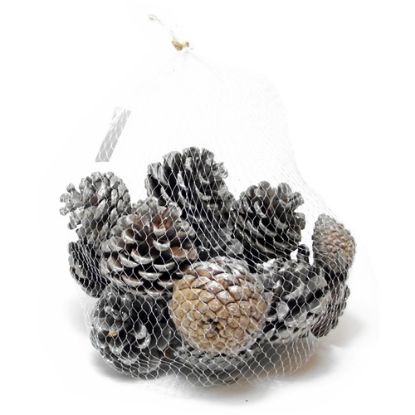 Picture of 4-6cm PINE CONES IN NET BAG SILVER GLITTER X 250g