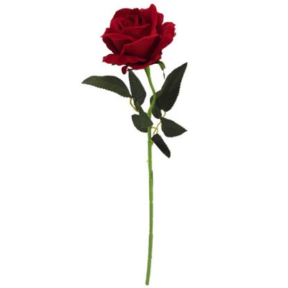 Picture of 51cm SINGLE LUXURY VELVET TOUCH OPEN ROSE RED