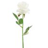 Picture of 45cm SINGLE ROSE IVORY