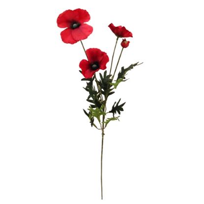 Picture of 77cm POPPY SPRAY RED