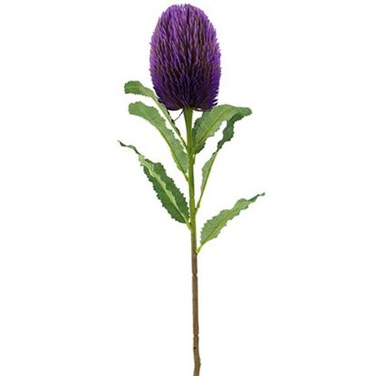 Picture of 65cm LARGE BANKSIA PURPLE
