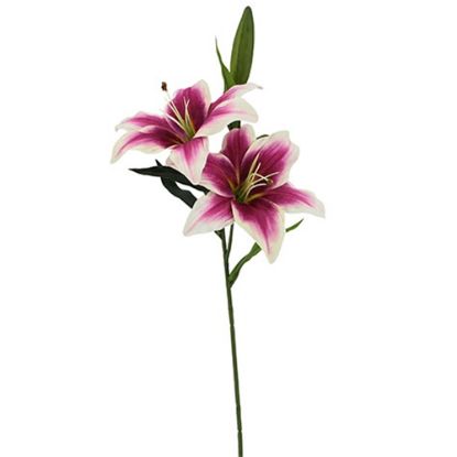 Picture of 66cm LILY SPRAY DARK PINK/CREAM X 24pcs (KNOCK DOWN PACKAGING - HEADS NEED ATTACHING)