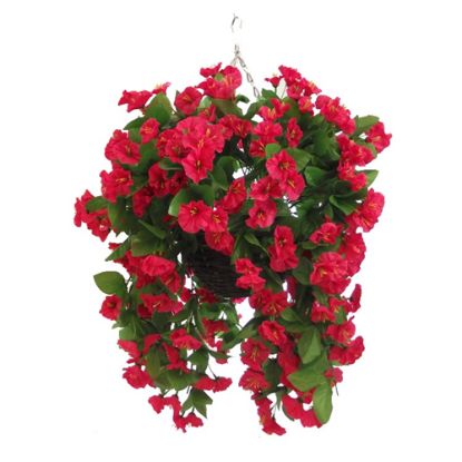 Picture of 10 INCH MORNING GLORY HANGING BASKET FUCHSIA X 12pcs