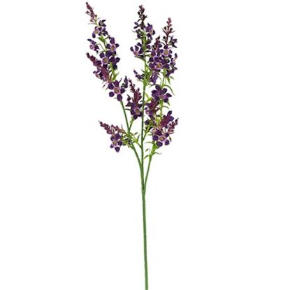 Picture of 75cm CATMINT SPRAY PURPLE