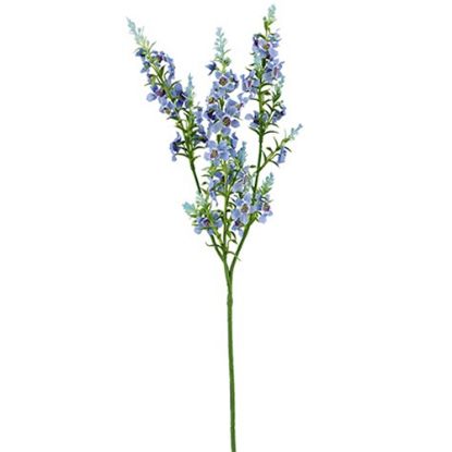 Picture of 75cm CATMINT SPRAY BLUE