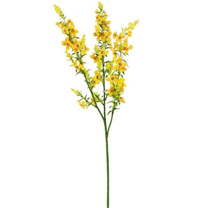 Picture of 75cm CATMINT SPRAY YELLOW