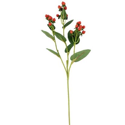 Picture of 68cm HYPERICUM BERRY SPRAY RED