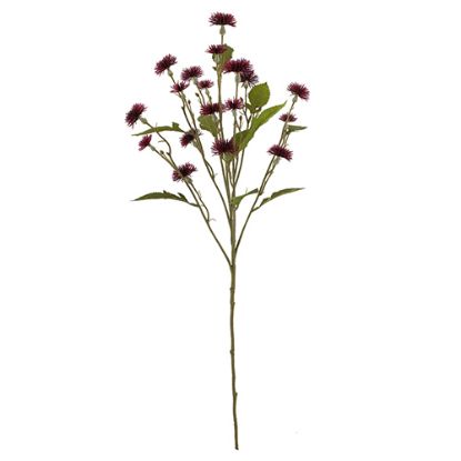 Picture of 72cm SWEET DAISY SPRAY DRY COLOUR BURGUNDY