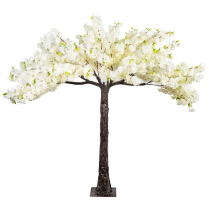 Picture of 200cm DELUXE ARTIFICIAL BLOSSOM TREE IVORY