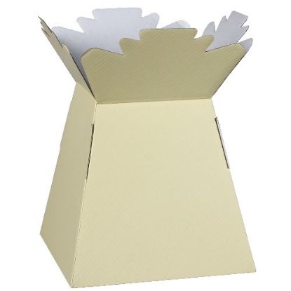 Picture of BOUQUET BOX GLOSSY IVORY X 30pcs