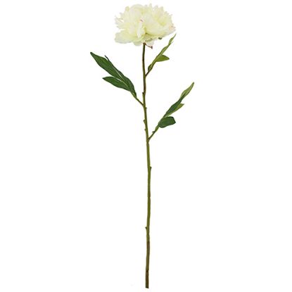 Picture of 77cm CHLOE LARGE BLOOMING PEONY IVORY
