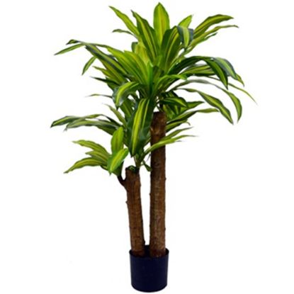 Picture of 120cm ARTIFICIAL DRACAENA LEAF PLANT IN POT VARIEGATED X 2pcs