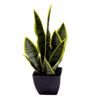 Picture of 35cm ARTIFICIAL SANSEVIERIA PLANT IN PLANTER VARIEGATED X 4pcs