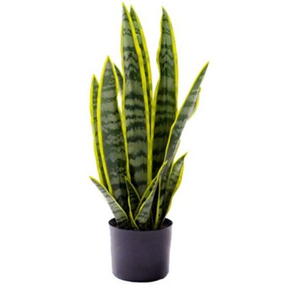 Picture of 57cm LARGE ARTIFICIAL SANSEVIERIA PLANT IN PLANTER VARIEGATED X 4pcs