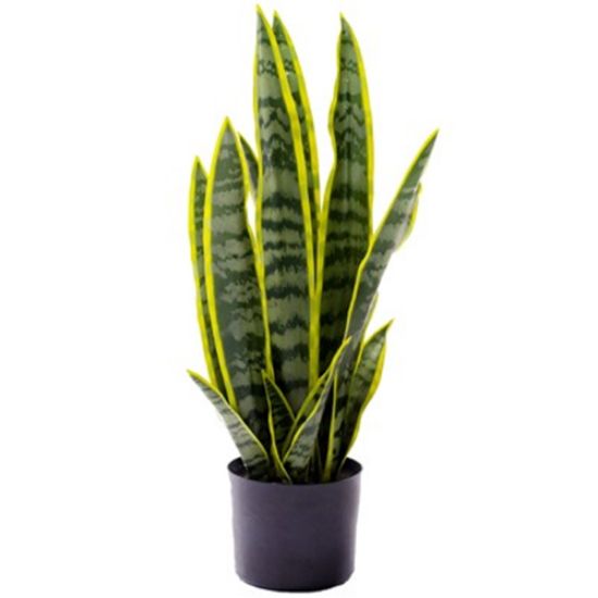 Picture of 57cm LARGE ARTIFICIAL SANSEVIERIA PLANT IN PLANTER VARIEGATED X 4pcs