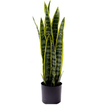Picture of 68cm LARGE ARTIFICIAL SANSEVIERIA PLANT IN PLANTER VARIEGATED X 4pcs