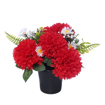 Picture of CEMETERY POT WITH CHRYSANTHEMUMS DAISIES AND FOLIAGE RED/WHITE