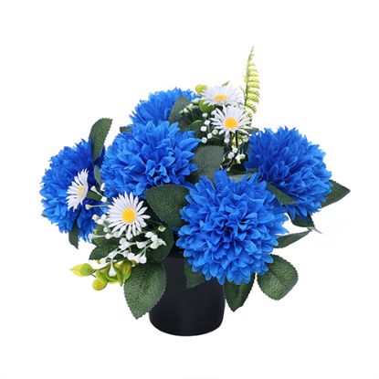 Picture of CEMETERY POT WITH CHRYSANTHEMUMS DAISIES AND FOLIAGE ROYAL BLUE/WHITE