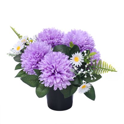 Picture of CEMETERY POT WITH CHRYSANTHEMUMS DAISIES AND FOLIAGE LILAC/WHITE