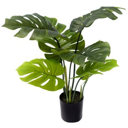 Picture of 70cm ARTIFICIAL MONSTERA LEAF PLANT IN POT GREEN X 4pcs