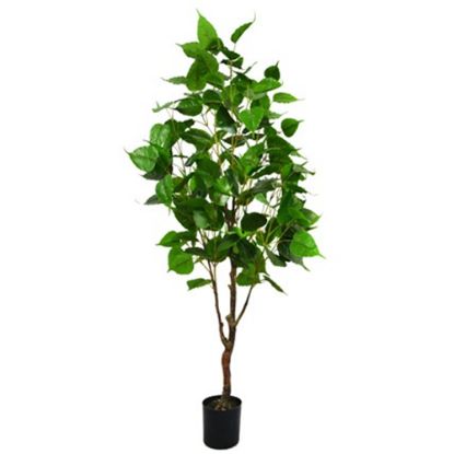 Picture of 140cm ARTIFICIAL BETULA TREE IN POT GREEN X 2pcs