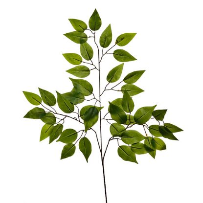 Picture of 60cm DELUXE FICUS BRANCH (42 LEAVES) GREEN X 12pcs