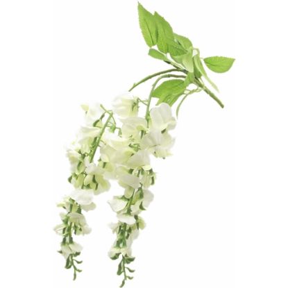 Picture of 54cm TRAILING WISTERIA IVORY