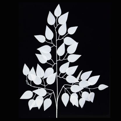 Picture of 60cm FICUS BRANCH (42 LEAVES) WHITE X 12pcs
