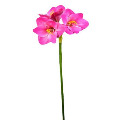 Picture of 75cm AMARYLLIS SPRAY PINK