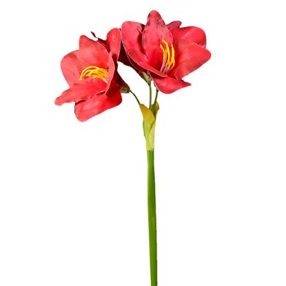 Picture of 75cm AMARYLLIS SPRAY RED