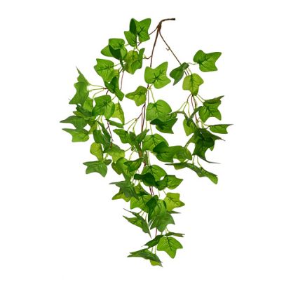 Picture of 60cm IVY TRAIL GREEN