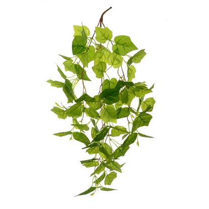 Picture of 60cm GRAPE LEAF TRAIL GREEN
