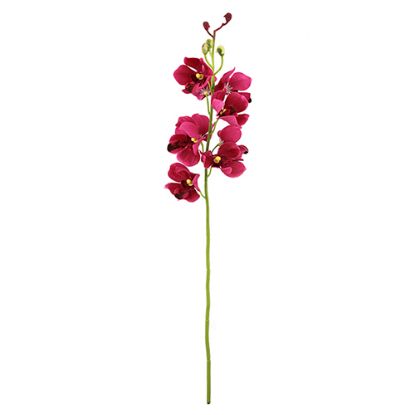 Picture of 49cm MOKARA ORCHID SPRAY BEAUTY