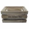 Picture of SET OF 3 WOODEN CRATES WITH PLASTIC LINING - BLOOMING