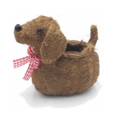Picture of 26cm COCO FIBRE DOG PLANTER WITH PLASTIC LINING