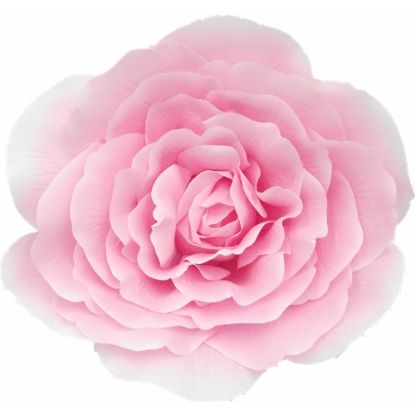 Picture of 50cm XL GIANT SINGLE ROSE PINK